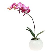 položky Umelé orchidey v kvetináči Phalaenopsis umelé kvety orchidey ružové 34cm
