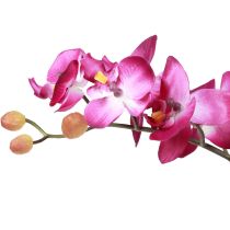 položky Umelé orchidey v kvetináči Phalaenopsis umelé kvety orchidey ružové 34cm