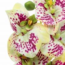 položky Umelá vetvička orchidey Phaelaenopsis Zelená Ružová V49cm