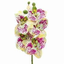 položky Umelá vetvička orchidey Phaelaenopsis Zelená Ružová V49cm