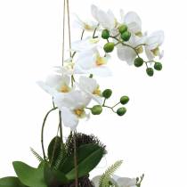 položky Orchidea s papraďou a machovými guličkami umelá biela závesná 64cm