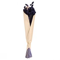 položky Phalaris fialová sušená dekoratívna tráva 50-55 cm 100 g