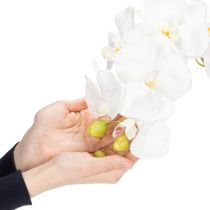 položky Umelá orchidea, klamlivo realistická, do kancelárie a obývačky, 62 cm