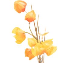 položky Umelá rastlina čínskeho lampióna, vetvička Physalis s kvetmi, 95 cm
