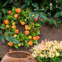 Článok Umelý veniec z Physalis, oranžový a zelený, Ø28cm, jesenná dekorácia