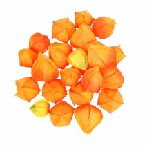 položky Physalis Orange Assorted 22ks dekoratívnych umelých kvetinových kalichov