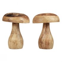 položky Drevené huby dekoračné huby drevené prírodné jesenné dekorácie Ø10cm V12cm 2ks