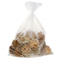 položky Šišky Pinus Šišky krémové miešané 5-18cm 25 ks