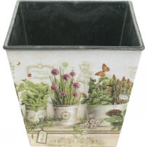 položky Črepník na bylinky, kvetináč s motívom, kvetináč V13cm Š13,5cm
