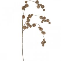 položky Dekoračný konár platan s ovocím Jesenná dekorácia Umelý platan hnedý L82cm Ø2-4cm