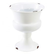 Váza na pohár dekoračný pohár biela hrdza Ø13,5cm V15cm Shabby Chic