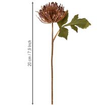 položky Umelý ihelníček Protea Leucospermum fialový 30 cm 6 ks