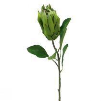 položky Protea Zelená Červená Umelá kvetina Umelá vetvička L65cm Ø5,5cm