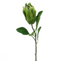 Protea Zelená Červená Umelá kvetina Umelá vetvička L65cm Ø5,5cm