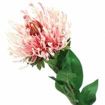 Protea umelá ružová 73 cm