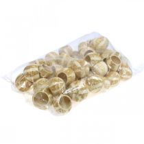 položky Tekvicová dekorácia Bell Cup Pumpkin Cup bielená 50 ks