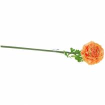 položky Ranunculus Losos výška 45 cm