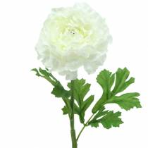 položky Ranunculus White, výška 45 cm