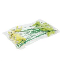 položky Drevená húsenica na palici zelená, žltá 8cm 24 ks