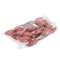 položky Repens Erika 25 ks