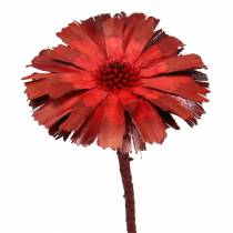 položky Repens Rosette Red 8cm - 9cm 25 ks
