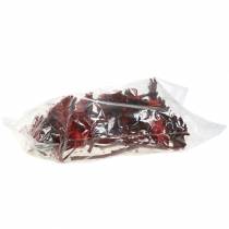 položky Repens Rosette Red 8cm - 9cm 25 ks