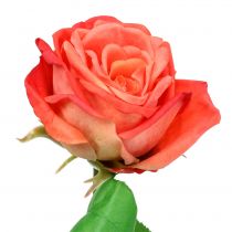 položky Ruža umelý kvet losos 67,5cm