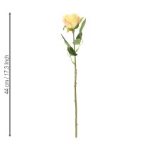 položky Kvetinový aranžmán z ruží pre elegantnú dekoráciu v obývacej izbe 44 cm 6 ks