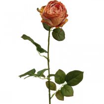 položky Umelá ruža oranžová, umelá ruža, ozdobná ruža L74cm Ø7cm