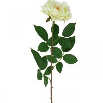 položky Umelá ruža, ozdobná ruža, hodvábny kvet krémovo biela, zelená L72cm Ø12cm