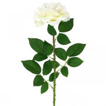 položky Hodvábny kvet, ruža na stonke, umelá rastlina krémovo biela, ružová L72cm Ø13cm