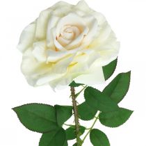 položky Hodvábny kvet, ruža na stonke, umelá rastlina krémovo biela, ružová L72cm Ø13cm
