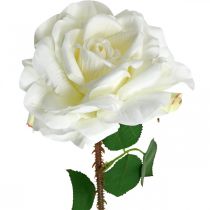 položky Biela ruža Falošná ruža na stonke Hodvábny kvet Falošná ruža L72cm Ø13cm