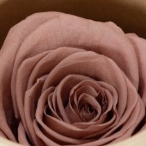 položky Konzervované ružové hlávky, romantický darček, dlhotrvajúce ruže na špeciálne príležitosti, 5 cm, 6 kusov