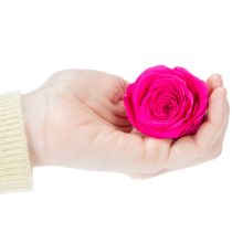 položky Dekorácie z konzervovaných ruží, pravé kvety na dekoráciu stola, jedinečné a udržateľné kvety, 5 cm, 6 kusov