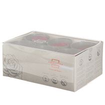 položky Červené ruže Infinity Roses Pravé ružové hlávky červené Ø6cm 6 ks