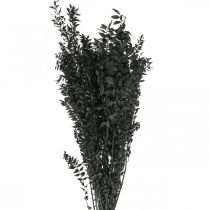 Ruscus konáre ozdobné konáre sušené kvety čierne 200g