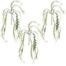položky Umelá pílka Leaf Cactus Epiphyllum anguliger L68cm 3 ks