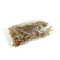 položky Salignum svetlo 4-6 kvetov na vetve Leucadendron 100 kusov