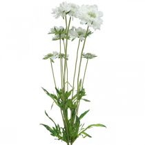položky Umelá kvetina svrab biely záhradný kvet V64cm zväzok s 3ks