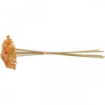 položky Rebríček umelé kvety oranžové 50cm 5ks v zväzku