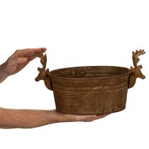 Článok Dekoratívna misa, hlava soba, oválna, hrdzavo sfarbená, rustikálna, 41 cm