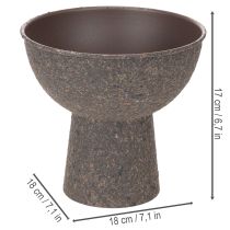 položky Okrúhla miska na rastliny s dnom, 18 cm