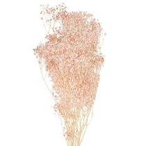 položky Gypsophila Dekorácia Pomarančové sušené trávy Broskyňa 65-70cm 100g