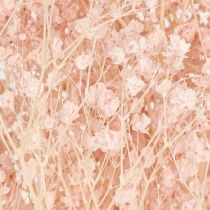 položky Gypsophila Dekorácia Pomarančové sušené trávy Broskyňa 65-70cm 100g
