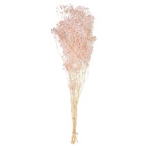 položky Gypsophila Dekorácia Pomarančové sušené trávy Broskyňa 65-70cm 100g