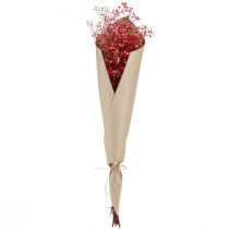 položky Gypsophila Gypsophila sušené kvety červené 50cm 55g