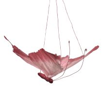 položky Veľká závesná dekorácia motýľa, elegantná nástenná dekorácia, 50 cm, 2 kusy