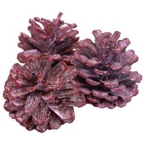 položky Čierne šišky červená prírodná dekorácia matná 5–7cm 1kg