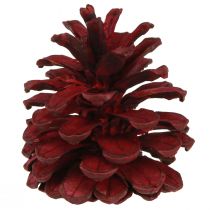 položky Čierne šišky Bordeaux ozdobné šišky červené 6-8cm 6 ks